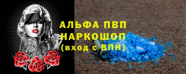 МДПВ Пересвет